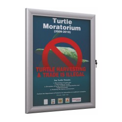 Poster Board Weather Resistant - 4 x DIN A4 (500x700 mm) 